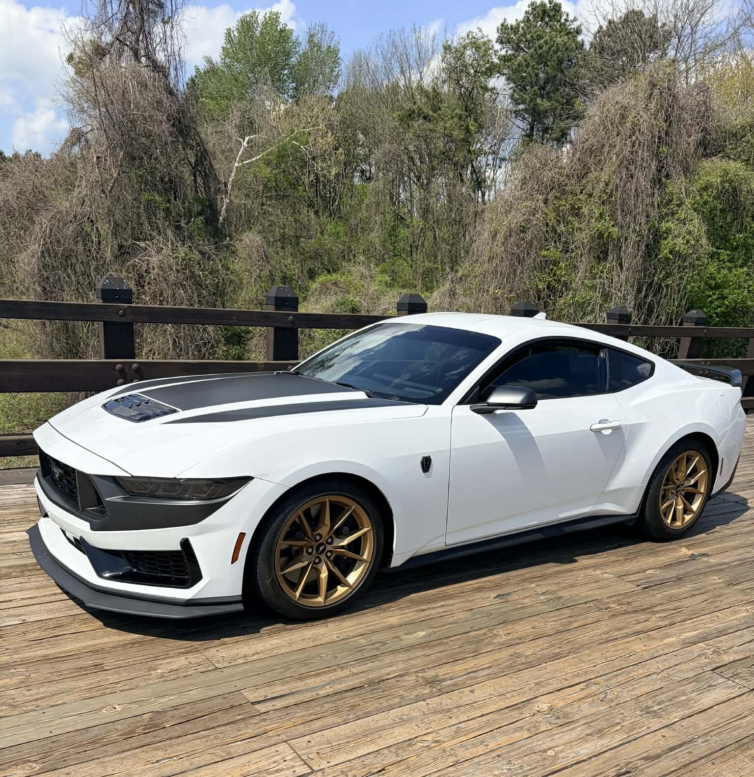 atlanta mustang rentals